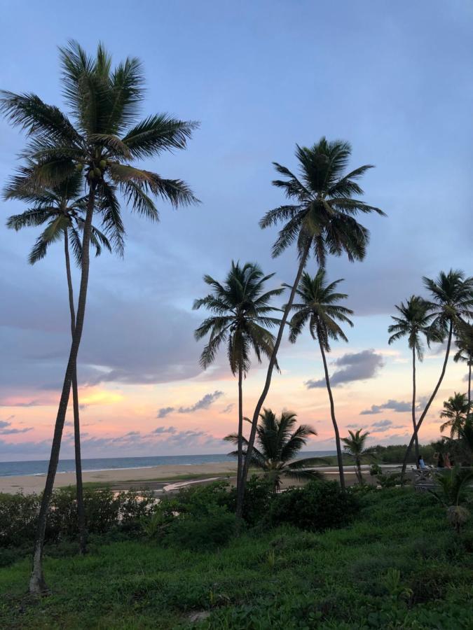 Apartamento Loft Encantador Em Do Próximo à Vila. Praia do Forte